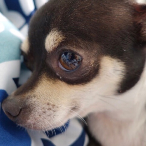 Meet your Posher, Helen Brianna - Picture 7 of 17